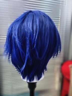 Blue Short Wig